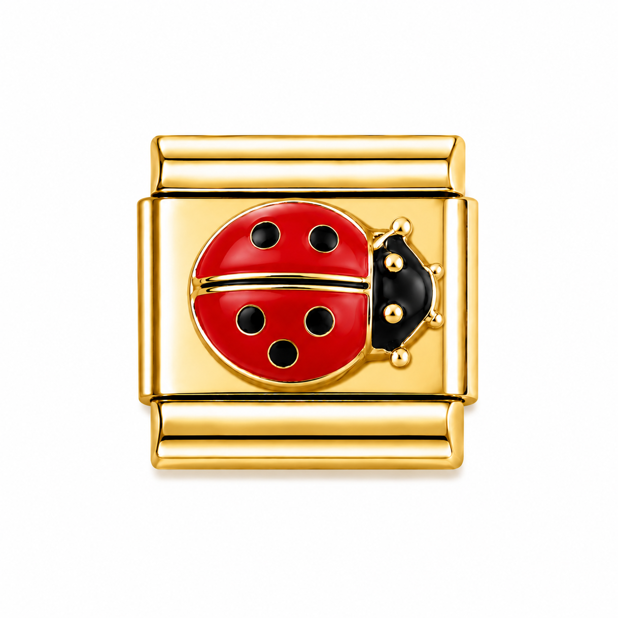 Ladybug