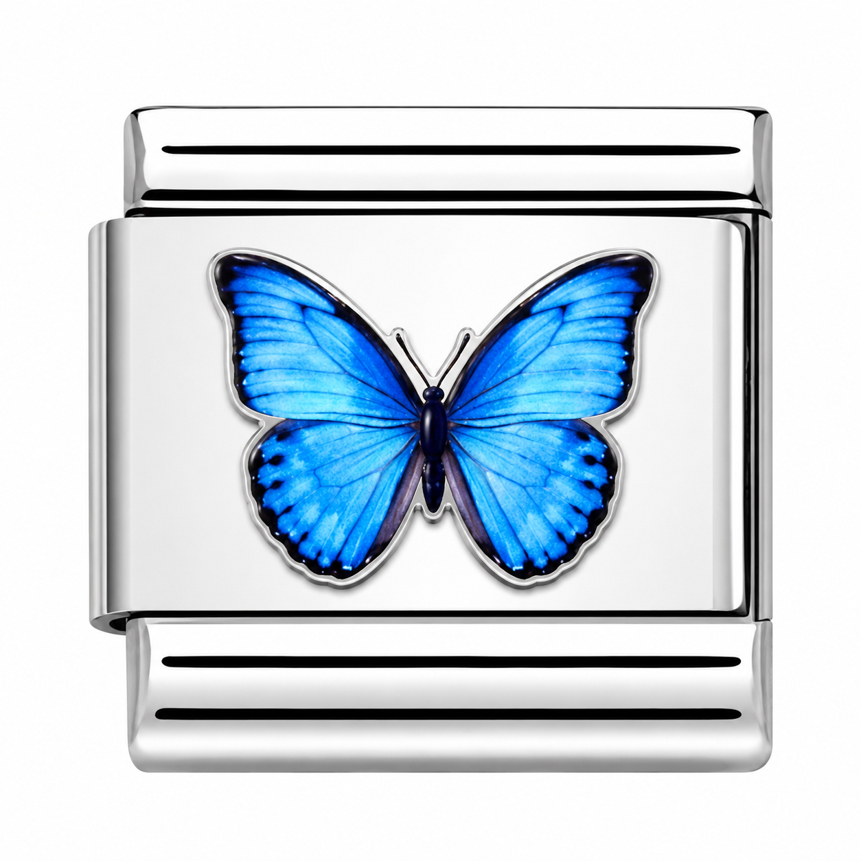 Blue Butterfly